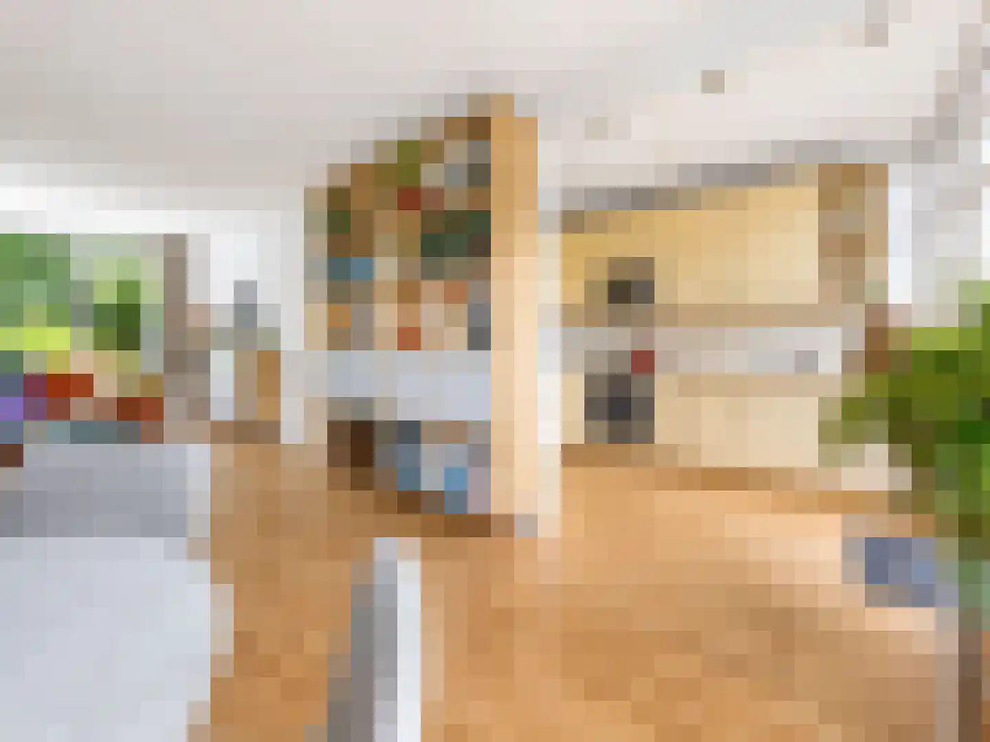 Norenburg 101 Den Haag thumbnail 8