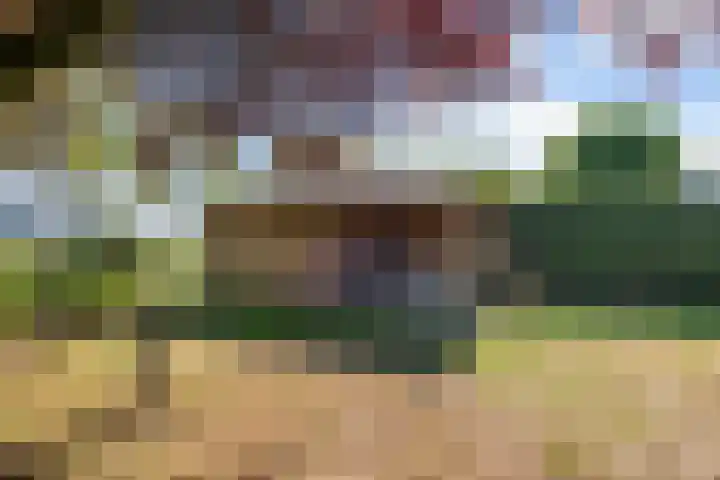 Norgerveste 1 Nieuwegein thumbnail 20