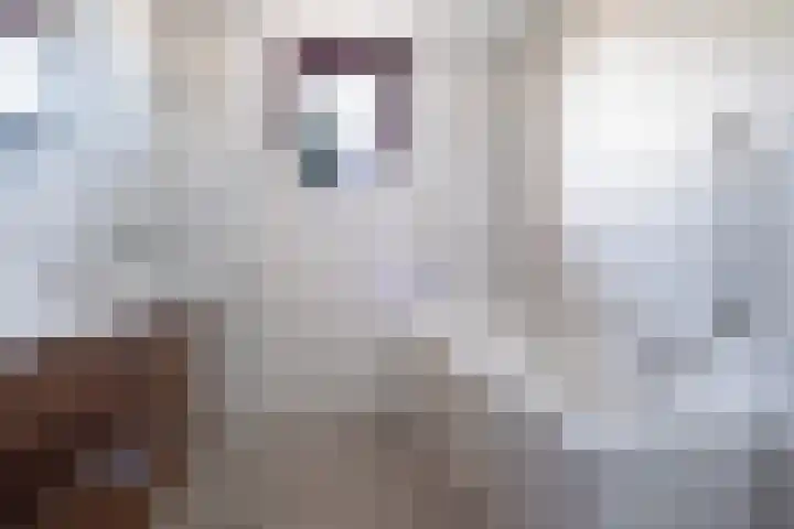Norgerveste 1 Nieuwegein thumbnail 34