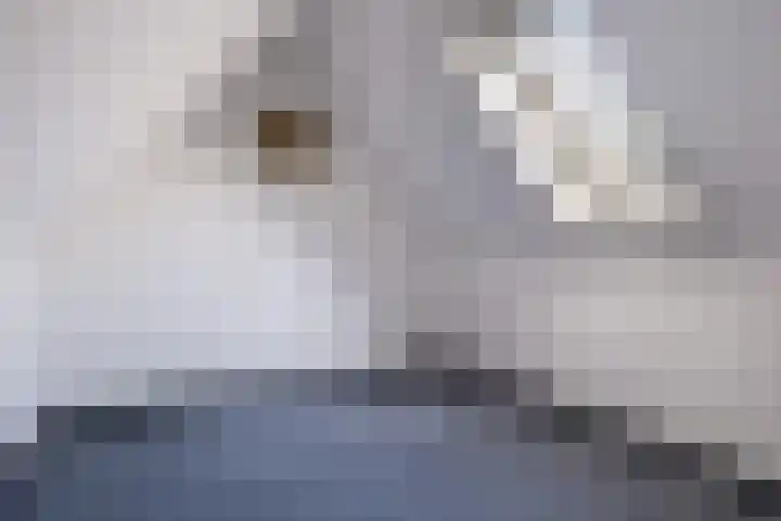 Norgerveste 1 Nieuwegein thumbnail 40