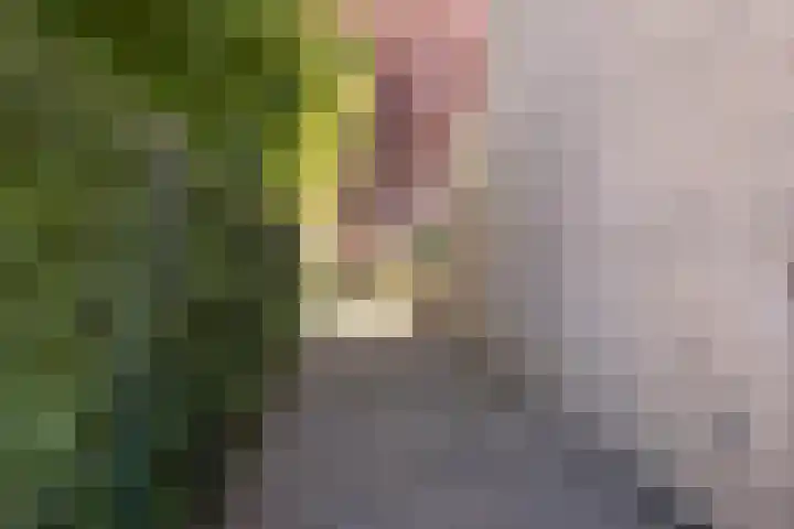Norgerveste 1 Nieuwegein thumbnail 45