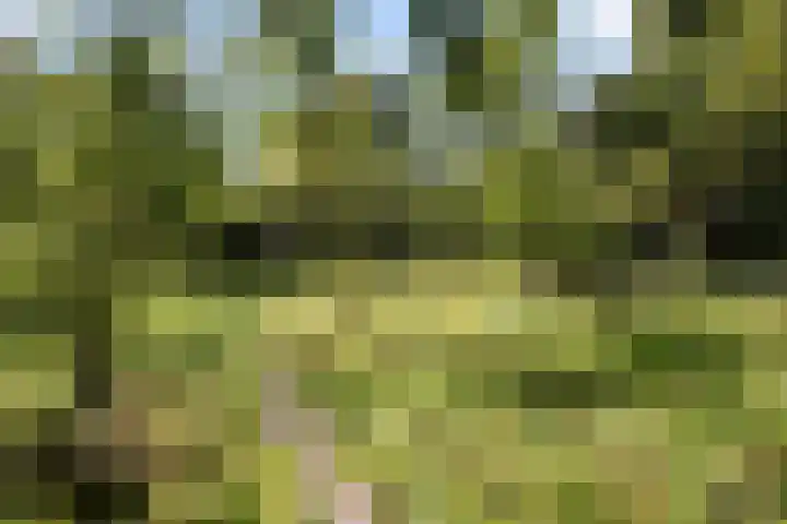 Norgerveste 1 Nieuwegein thumbnail 46