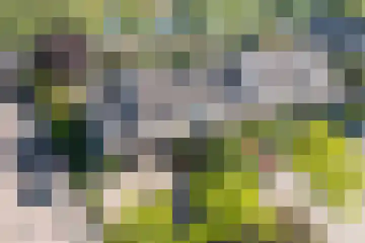 Norgerveste 1 Nieuwegein thumbnail 48