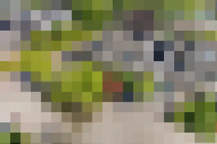 Norgerveste 1 Nieuwegein thumbnail 49