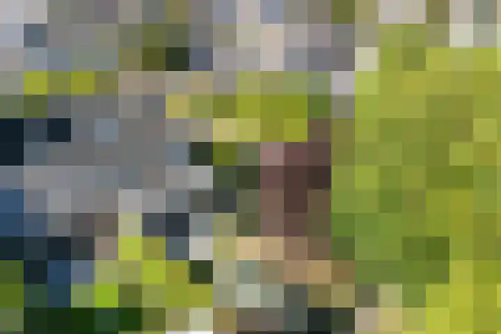 Norgerveste 1 Nieuwegein thumbnail 50