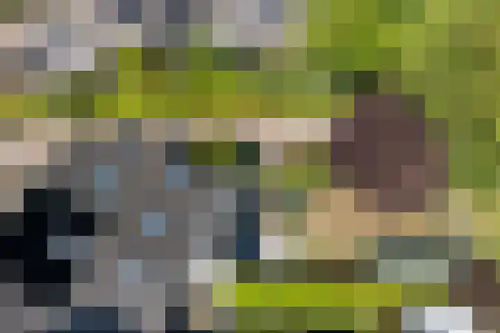 Norgerveste 1 Nieuwegein thumbnail 51