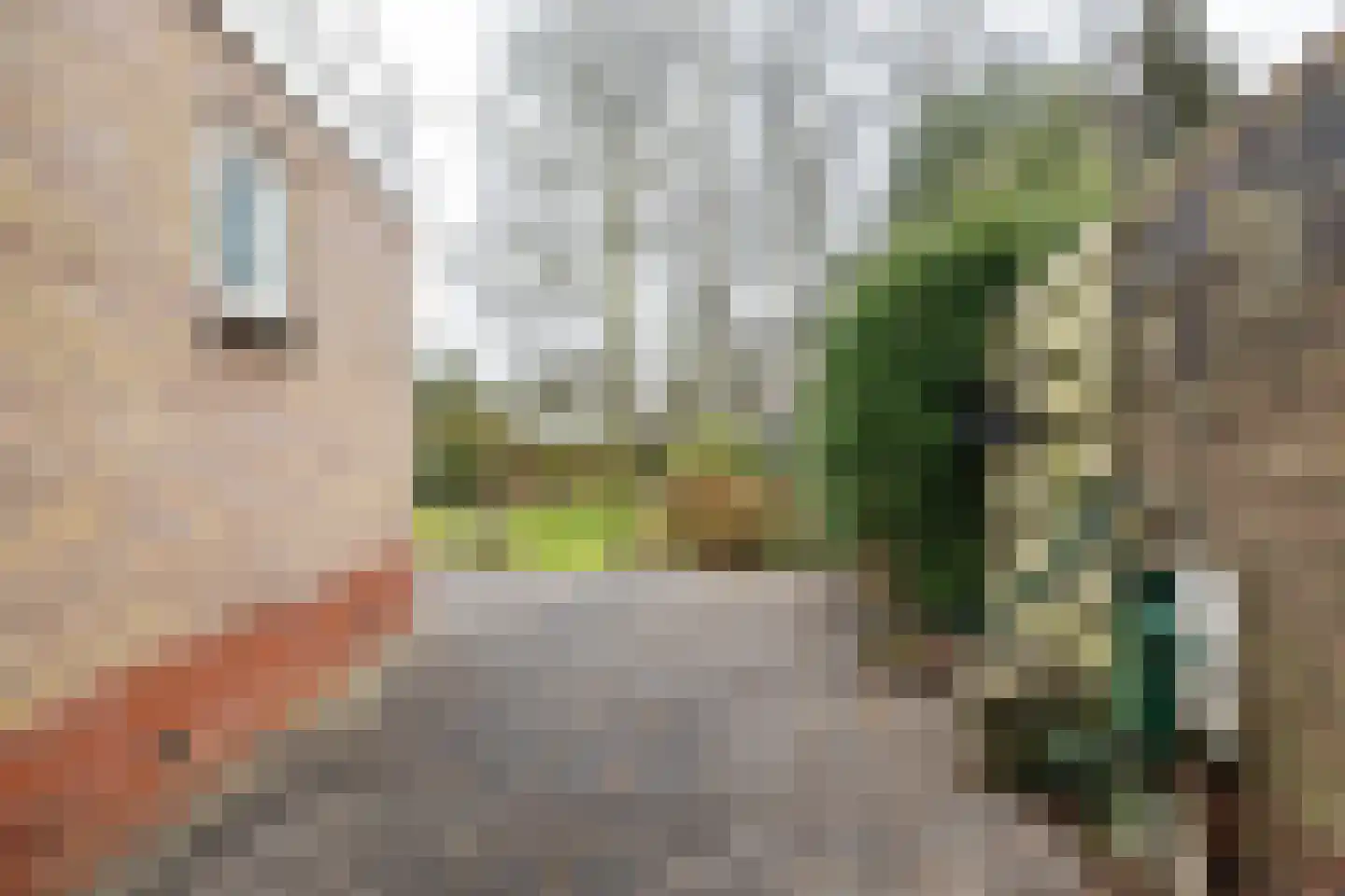 Norgerweg 1 Een thumbnail 42