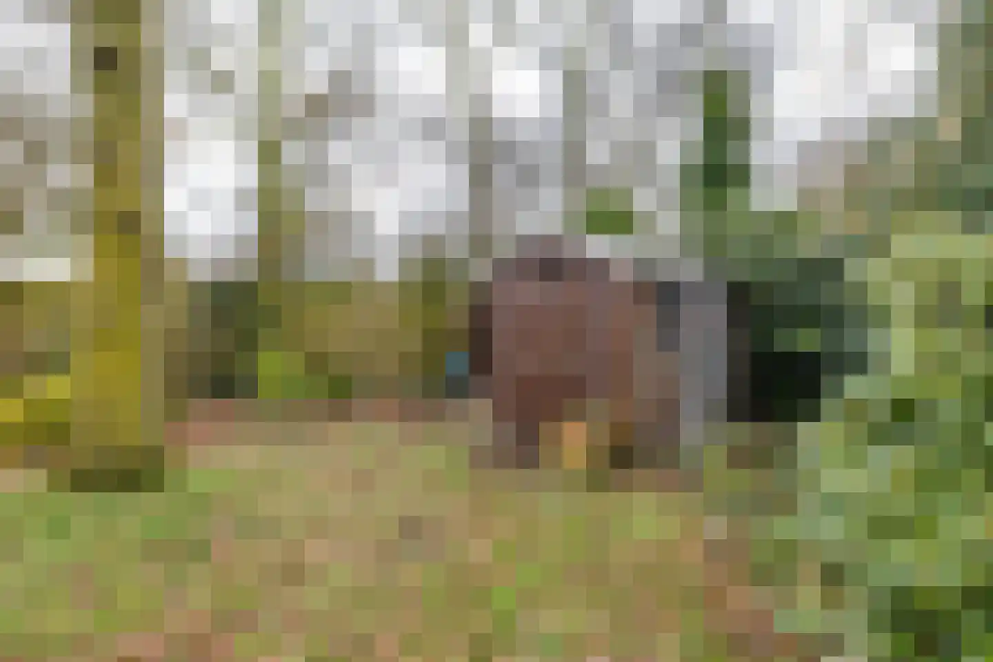 Norgerweg 1 Een thumbnail 48