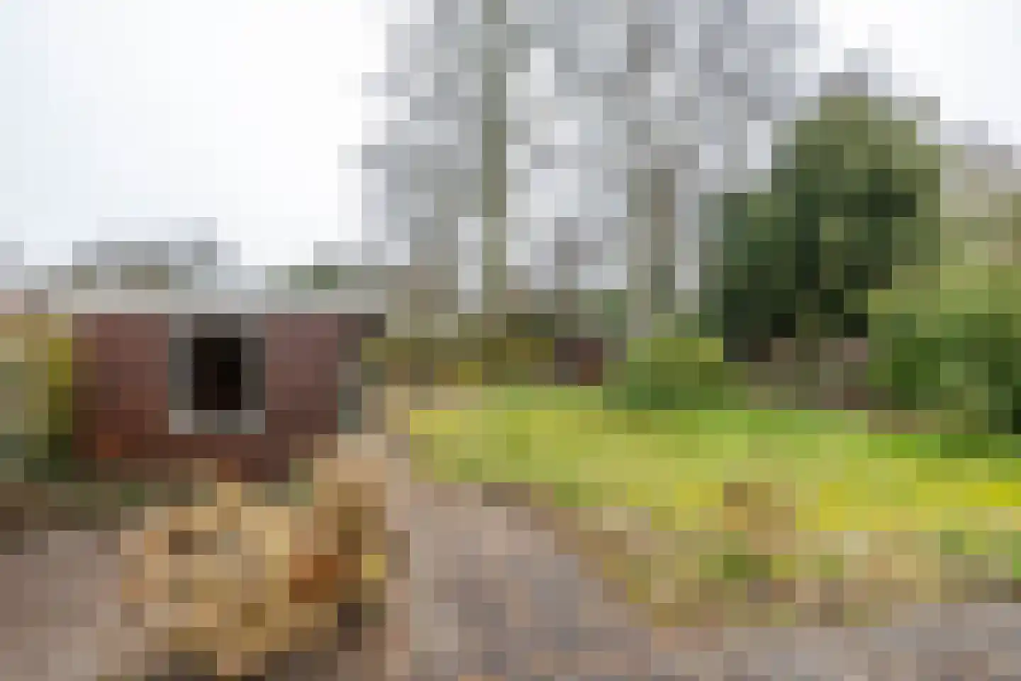 Norgerweg 1 Een thumbnail 49