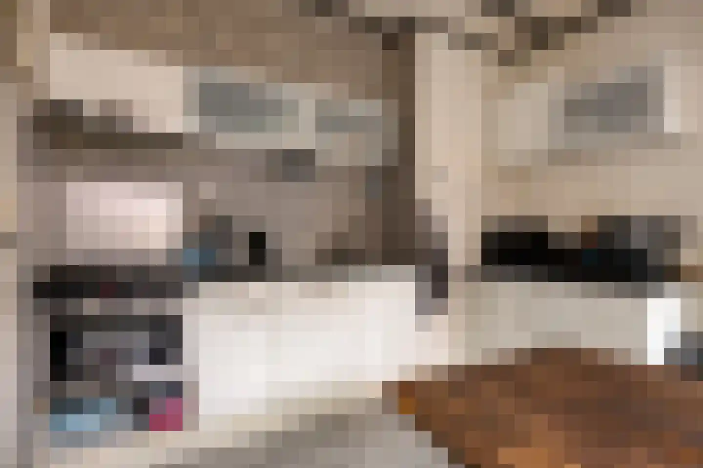 Norgerweg 11 De Punt thumbnail 19