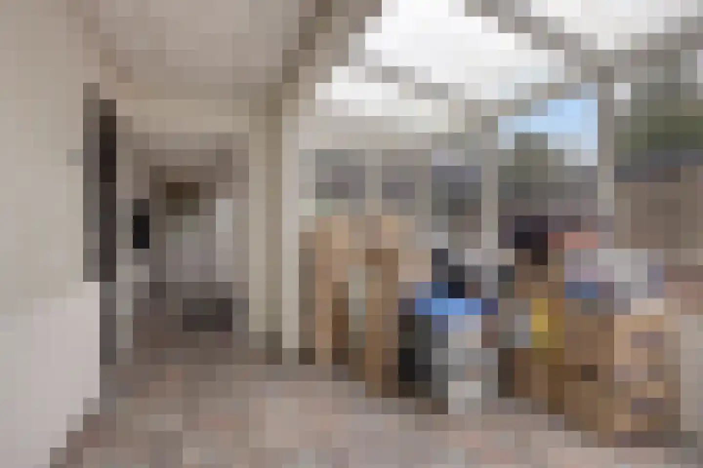 Norgerweg 11 De Punt thumbnail 21
