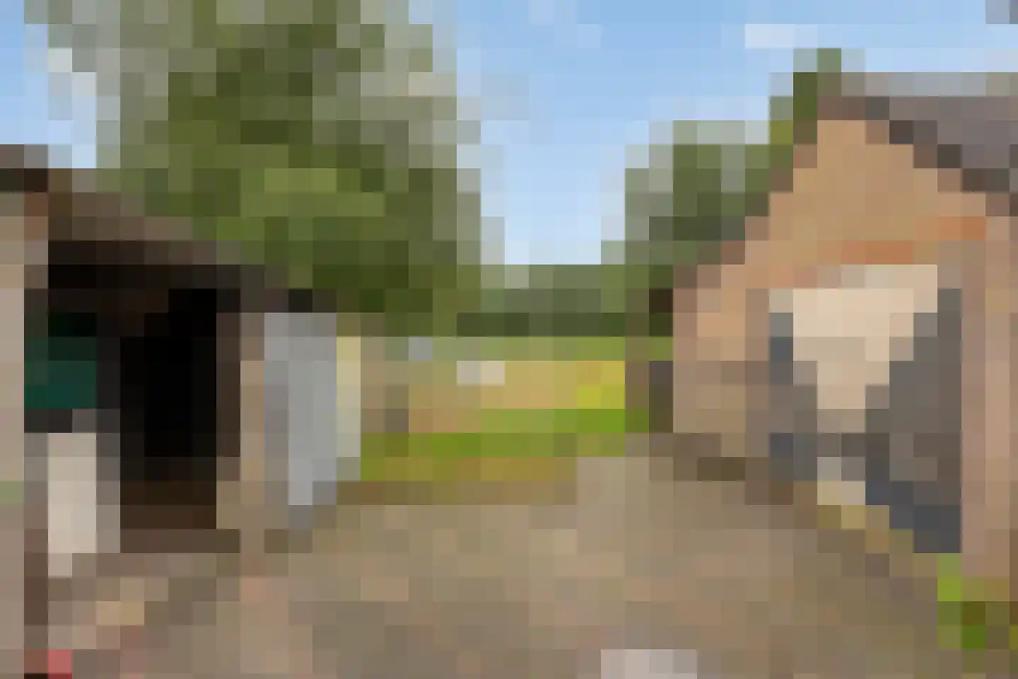 Norgerweg 11 De Punt thumbnail 38