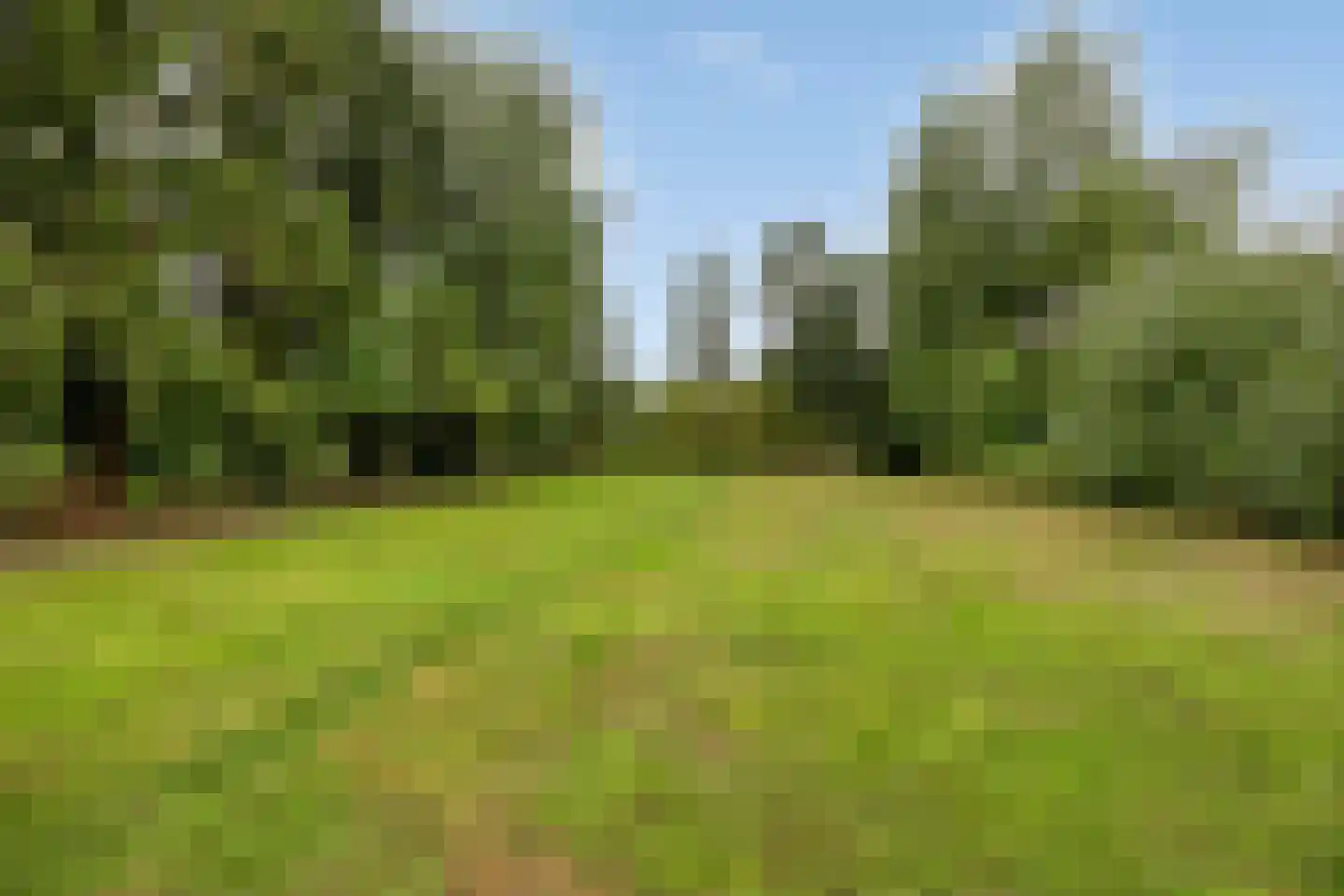 Norgerweg 11 De Punt thumbnail 44