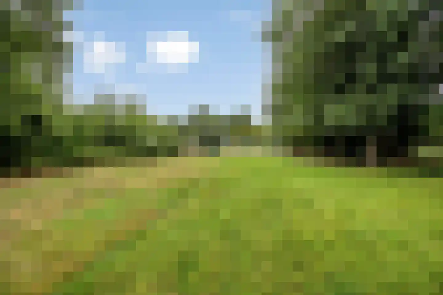Norgerweg 11 De Punt thumbnail 45