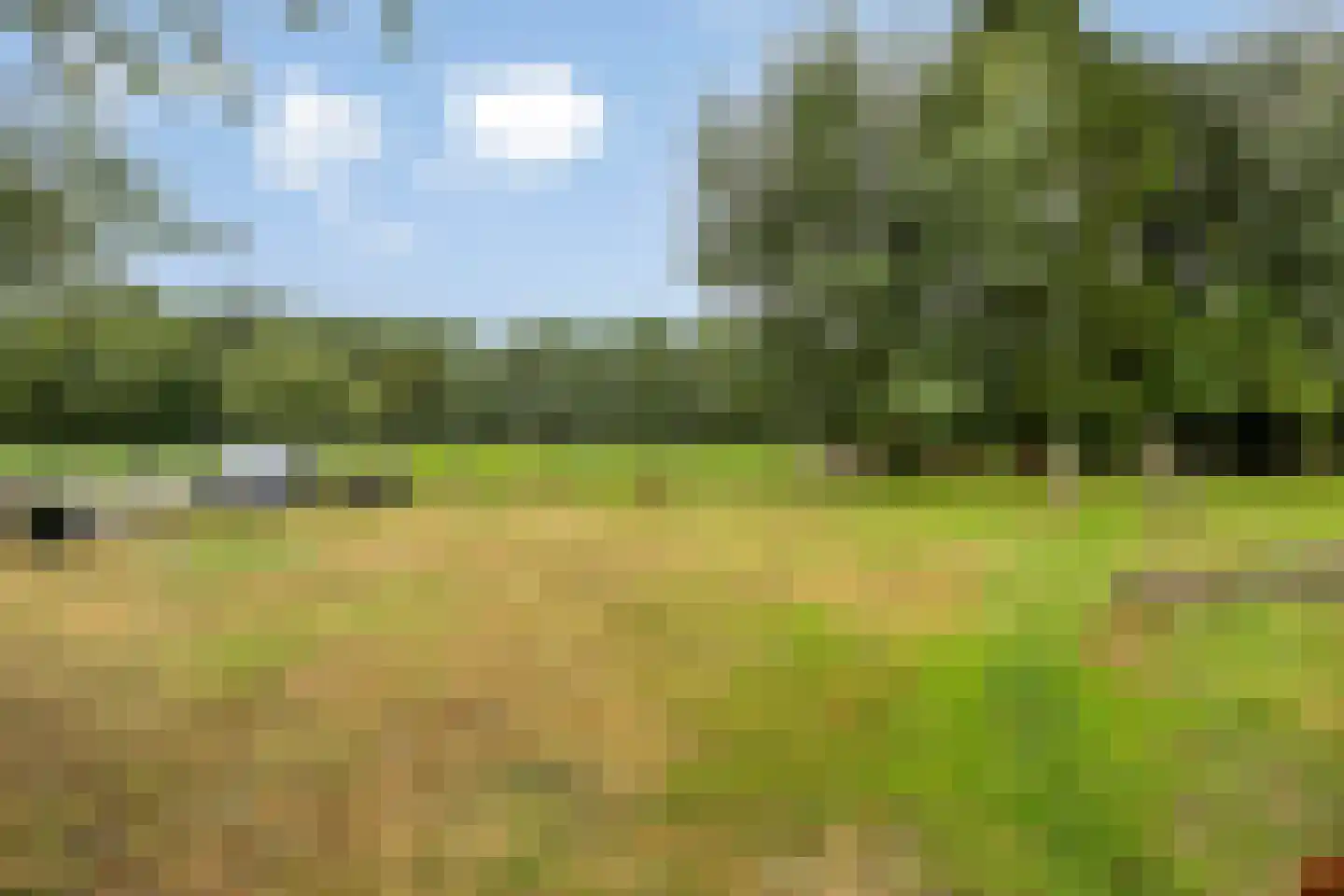 Norgerweg 11 De Punt thumbnail 46