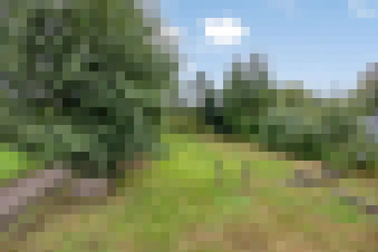 Norgerweg 11 De Punt thumbnail 7