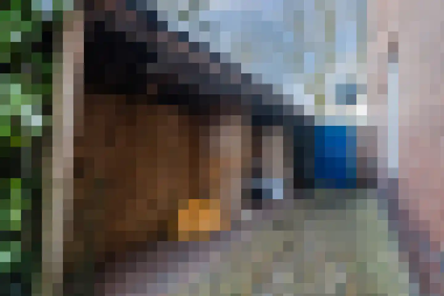 Norgerweg 112 Yde thumbnail 62