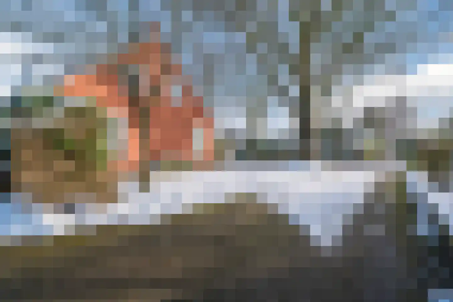 Norgerweg 112 Yde thumbnail 69