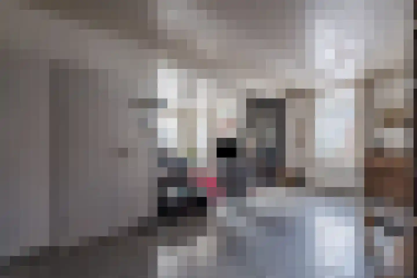 Norgerweg 112 Yde thumbnail 7