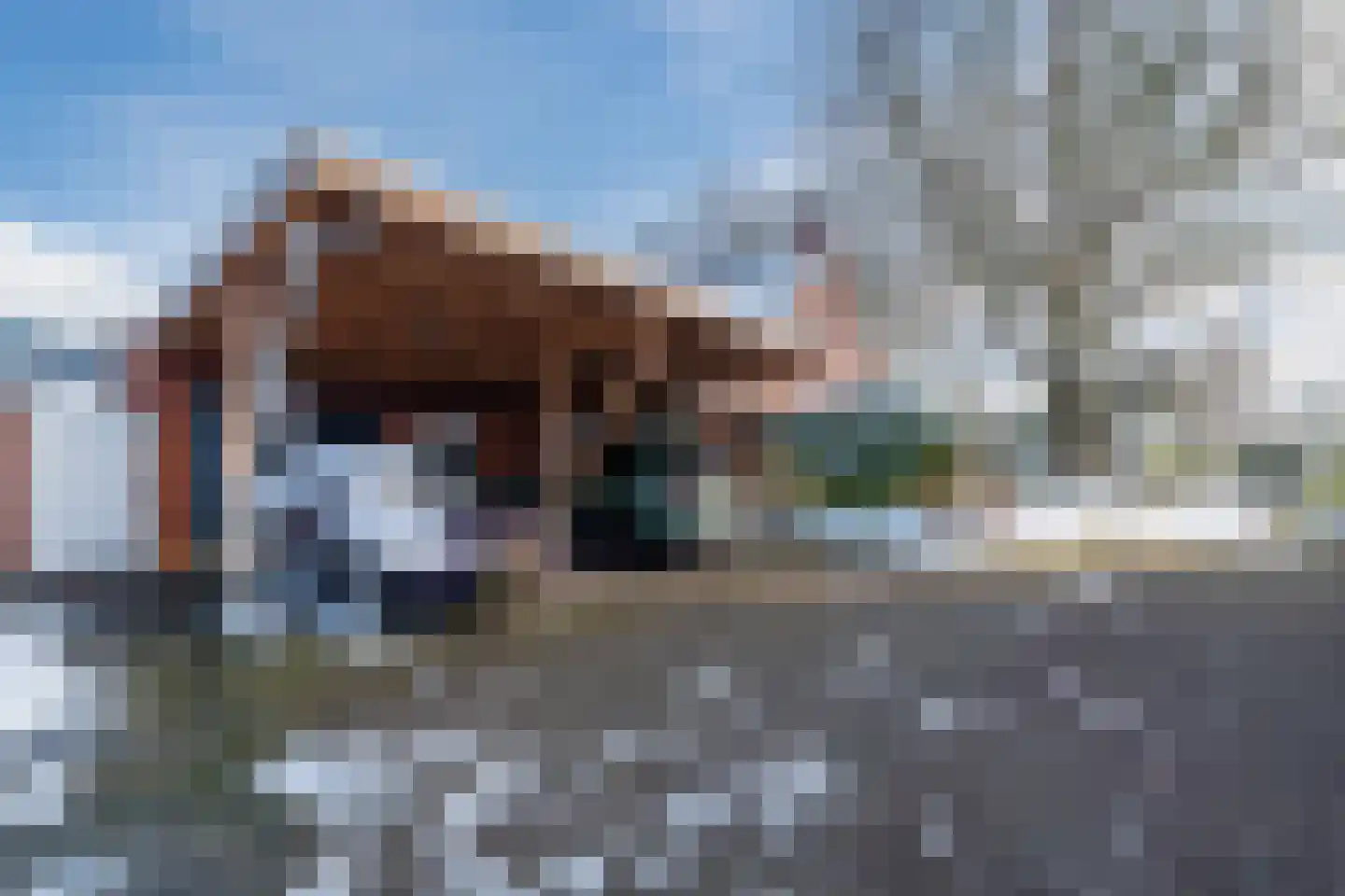 Norgerweg 112 Yde thumbnail 73