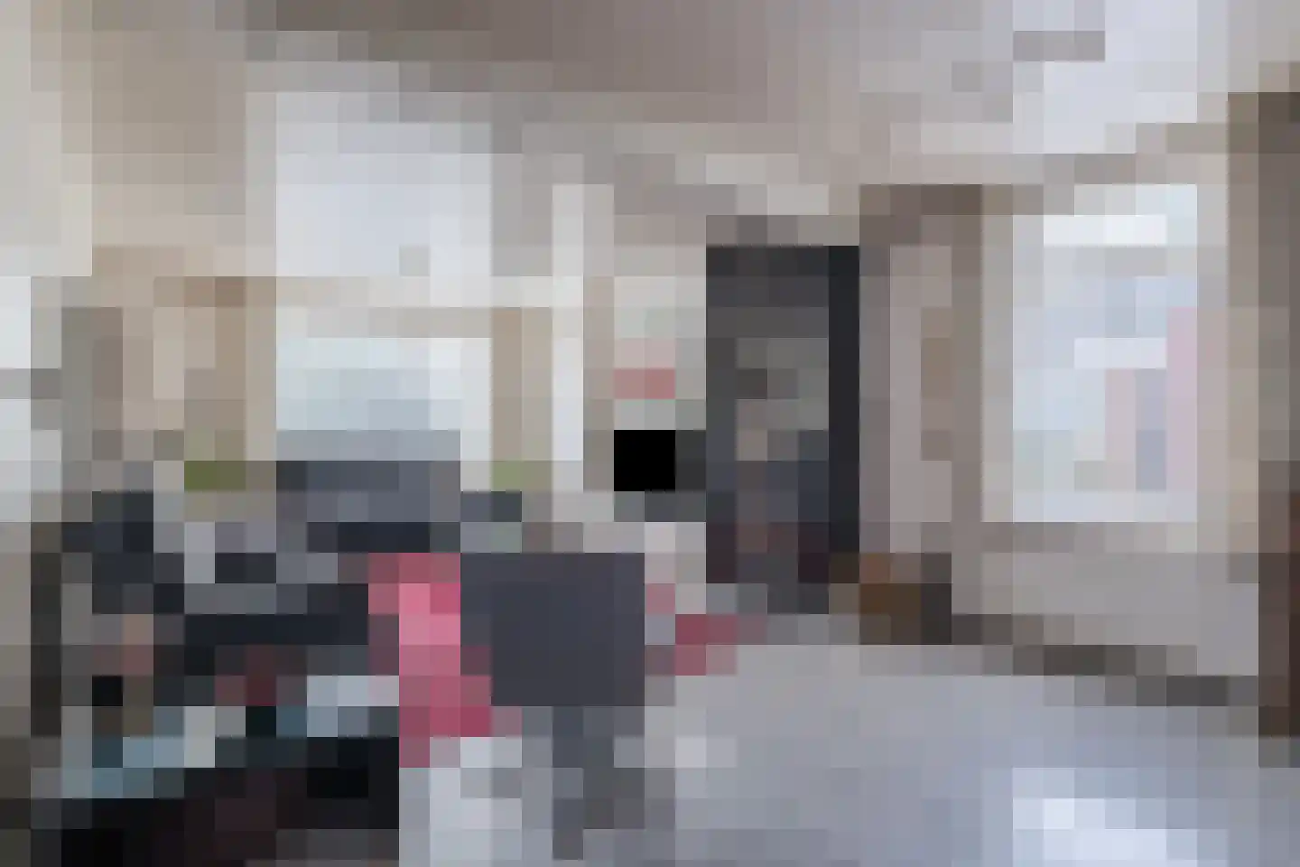 Norgerweg 112 Yde thumbnail 9