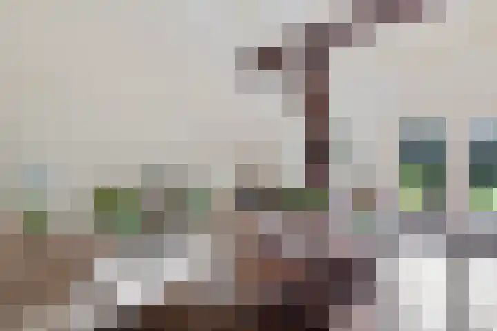 Norgerweg 121 Yde thumbnail 15