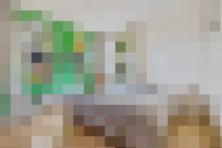 Norgerweg 121 Yde thumbnail 30