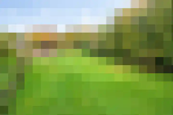 Norgerweg 121 Yde thumbnail 4