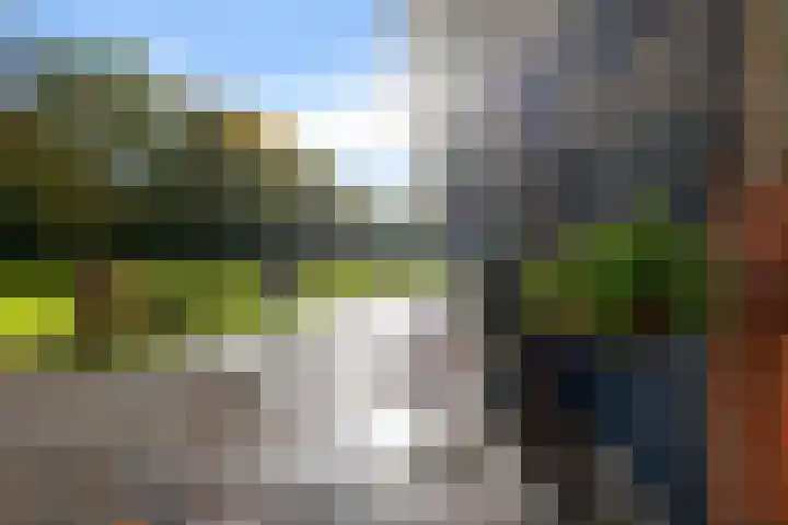 Norgerweg 121 Yde thumbnail 40