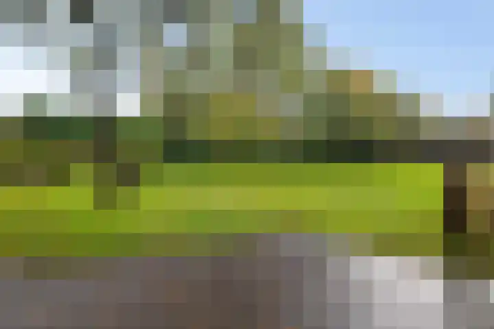 Norgerweg 121 Yde thumbnail 44