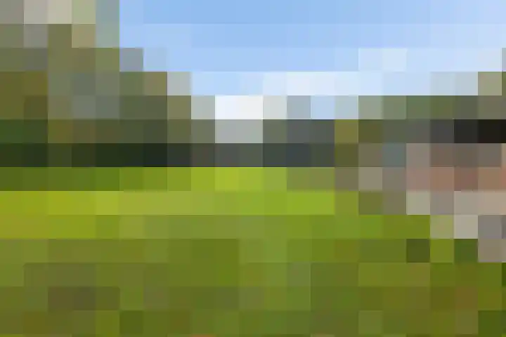 Norgerweg 121 Yde thumbnail 45