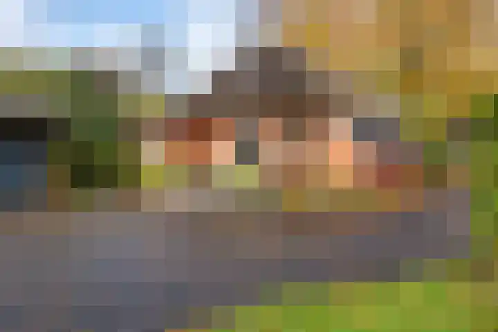 Norgerweg 121 Yde thumbnail 46