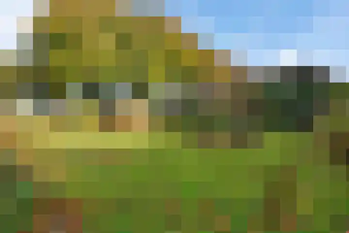 Norgerweg 121 Yde thumbnail 48