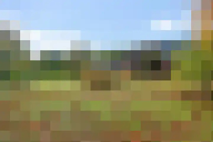 Norgerweg 121 Yde thumbnail 49