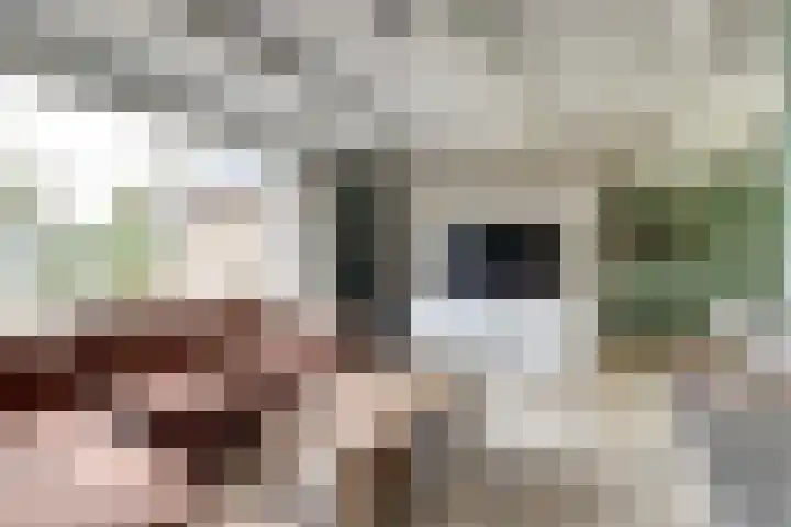 Norgerweg 13 Een thumbnail 11