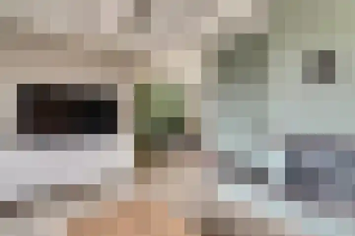 Norgerweg 13 Een thumbnail 14