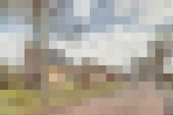 Norgerweg 13 Een thumbnail 48