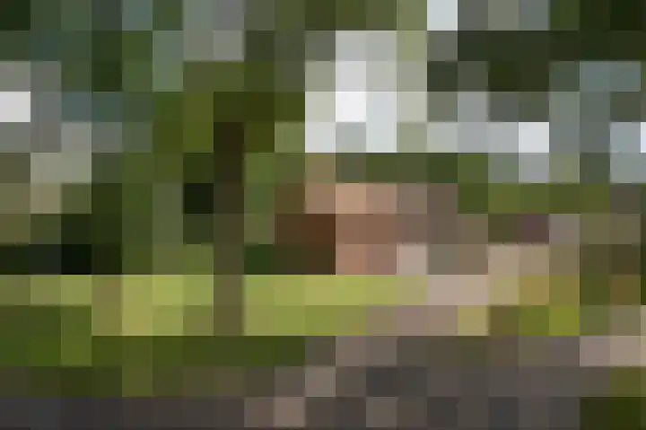 Norgerweg 137 in Yde