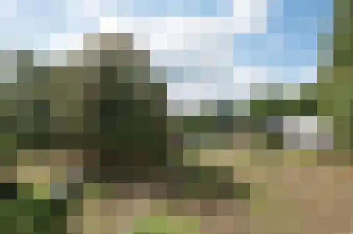 Norgerweg 137 Yde thumbnail 34