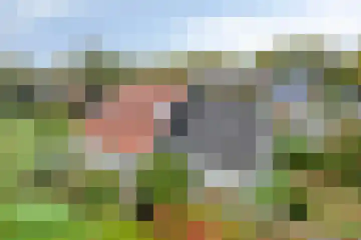 Norgerweg 138 Yde thumbnail 11