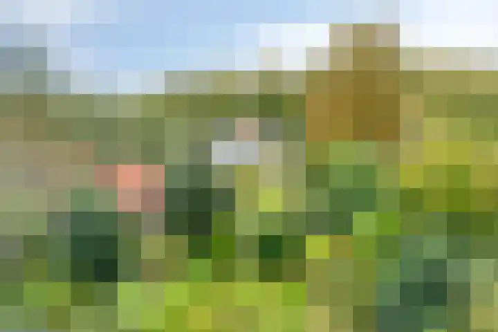 Norgerweg 138 Yde thumbnail 5