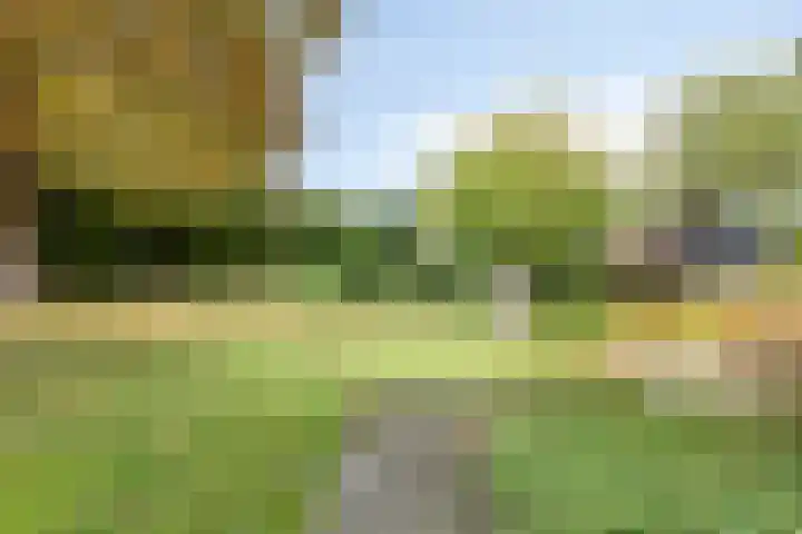Norgerweg 138 Yde thumbnail 52