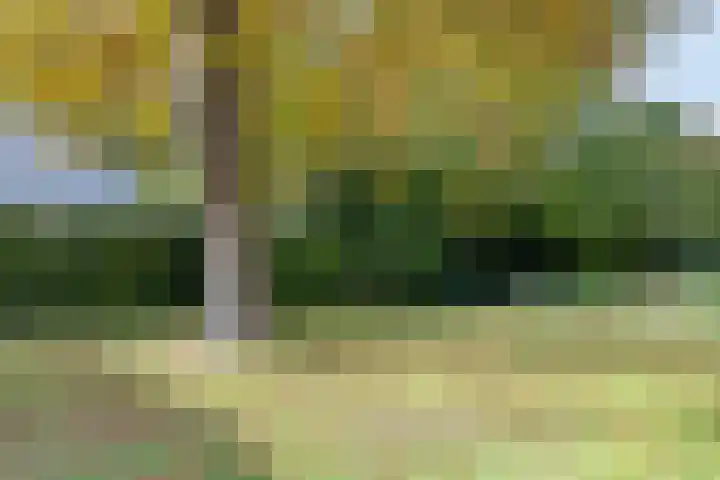 Norgerweg 138 Yde thumbnail 53
