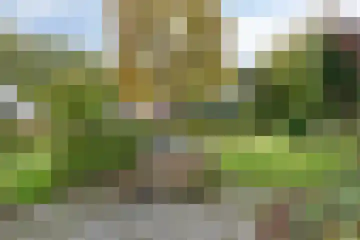 Norgerweg 138 Yde thumbnail 56