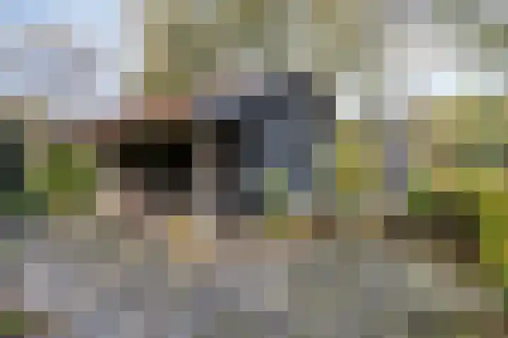Norgerweg 138 Yde thumbnail 57