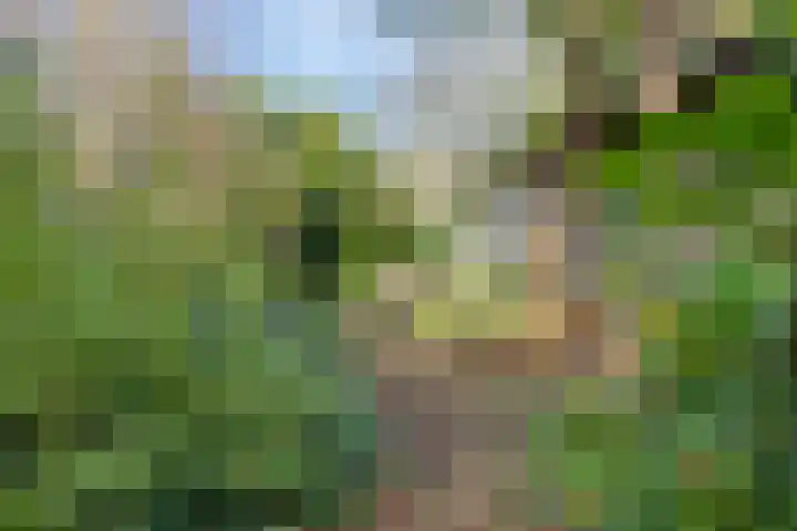 Norgerweg 138 Yde thumbnail 59