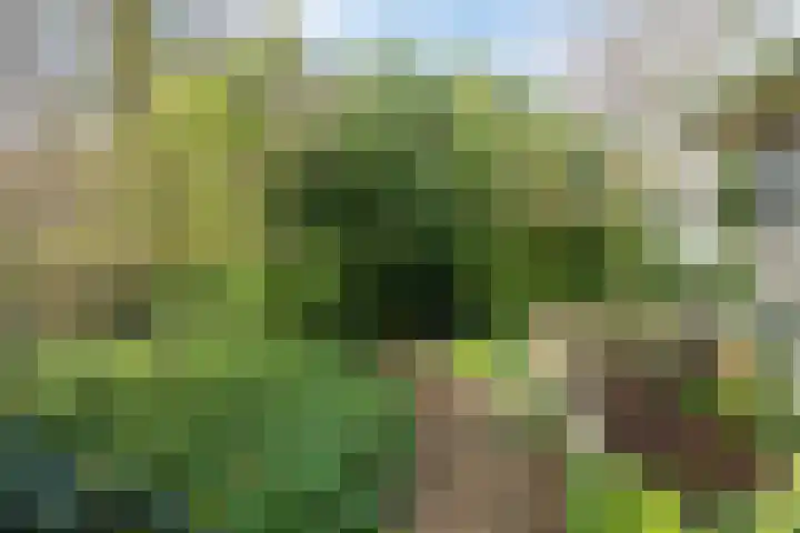 Norgerweg 138 Yde thumbnail 60