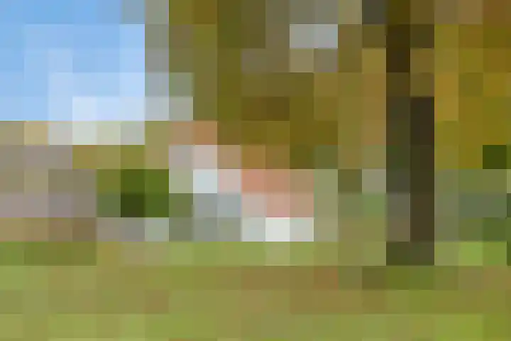 Norgerweg 138 Yde thumbnail 64