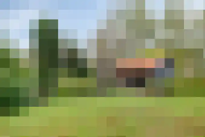 Norgerweg 138 Yde thumbnail 65