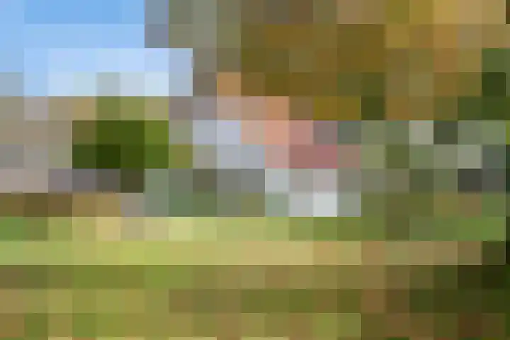 Norgerweg 138 Yde thumbnail 66